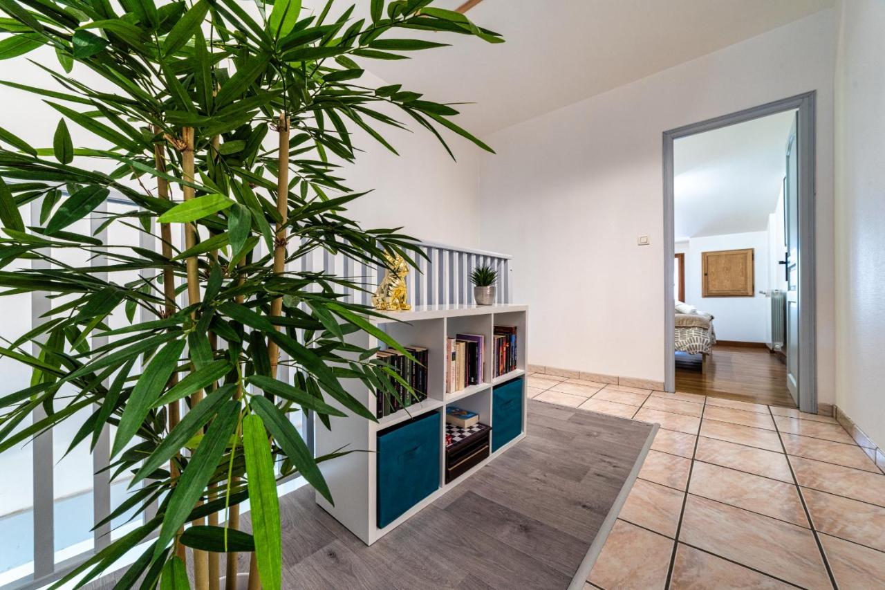 T3 Gaillac St-Jean-Fibre-Netflix-Parking المظهر الخارجي الصورة